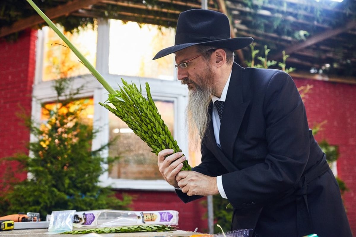 סוכות בסוכה הגדולה ביותר באירופה | תיעוד