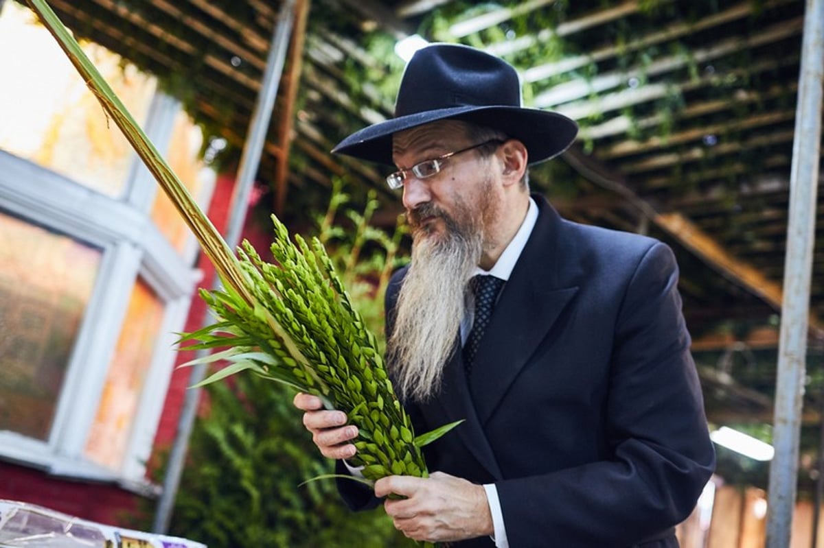 סוכות בסוכה הגדולה ביותר באירופה | תיעוד