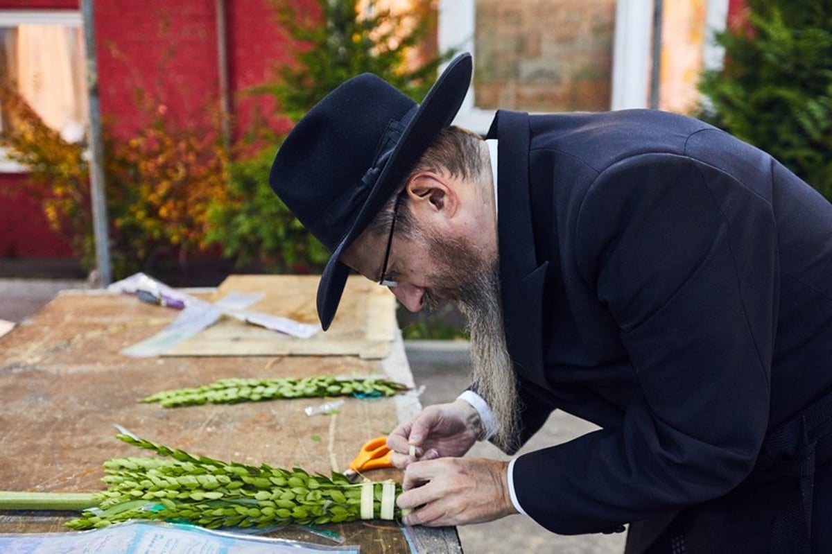 סוכות בסוכה הגדולה ביותר באירופה | תיעוד