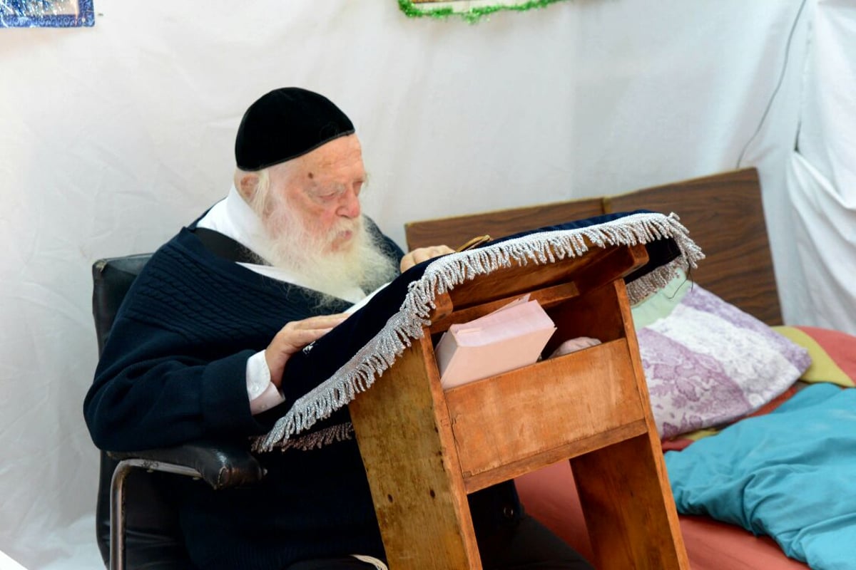 בקודש פנימה: צלם 'כיכר השבת' בסוכת מרן הגר"ח קנייבסקי