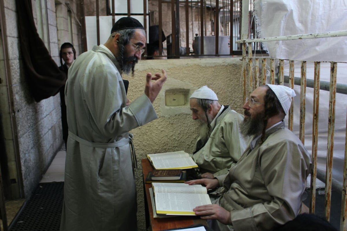 חול המועד בברסלב: לימוד תורה | תיעוד