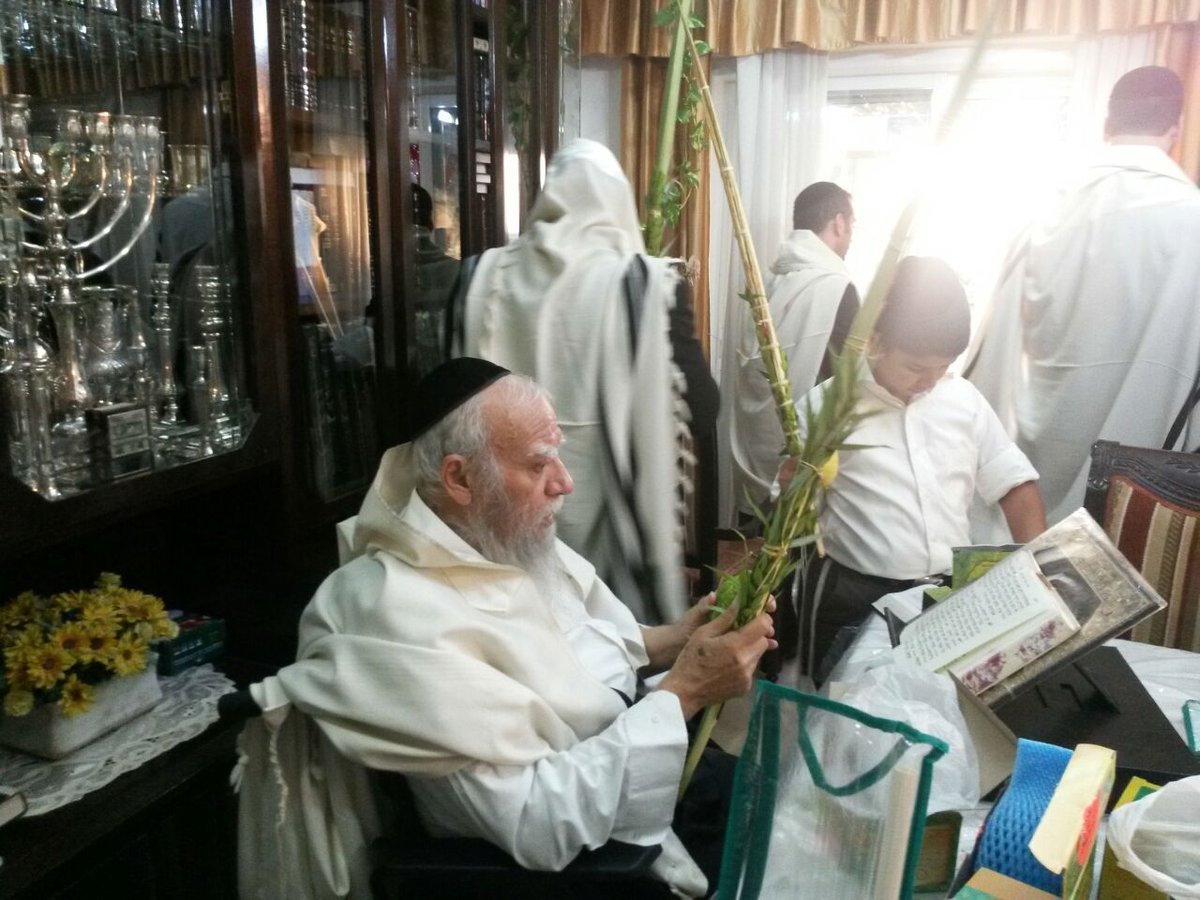 'הקבלת פני רבו' בסוכת זקן הראשלצי"ם