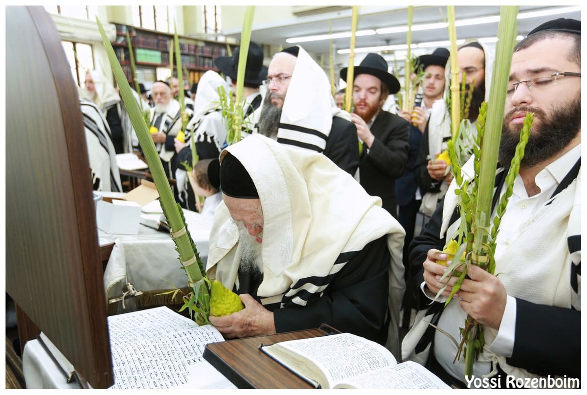 מרן שר התורה הגר"ח קנייבסקי בהלל ובהקפות בהושענות