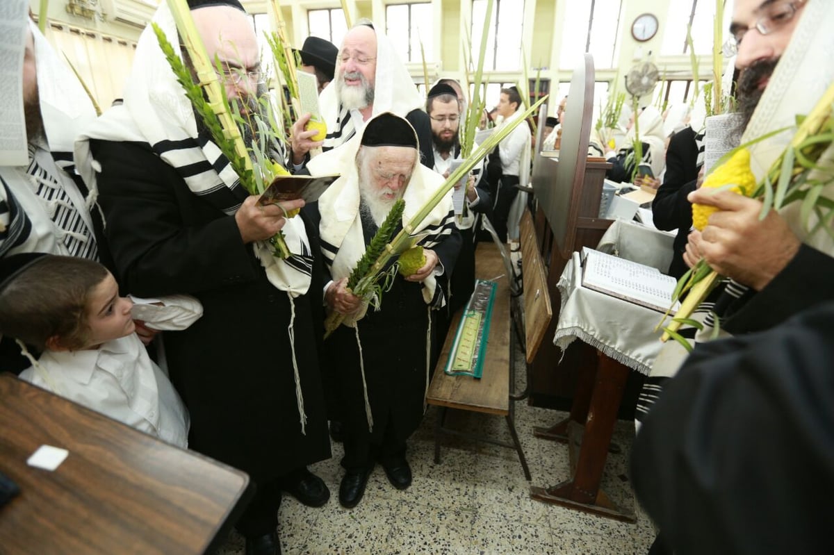 מרן שר התורה הגר"ח קנייבסקי בהלל ובהקפות בהושענות