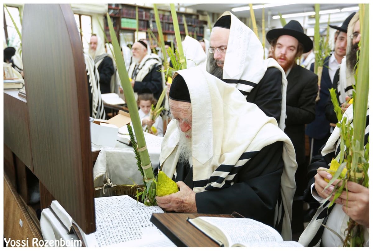 מרן שר התורה הגר"ח קנייבסקי בהלל ובהקפות בהושענות