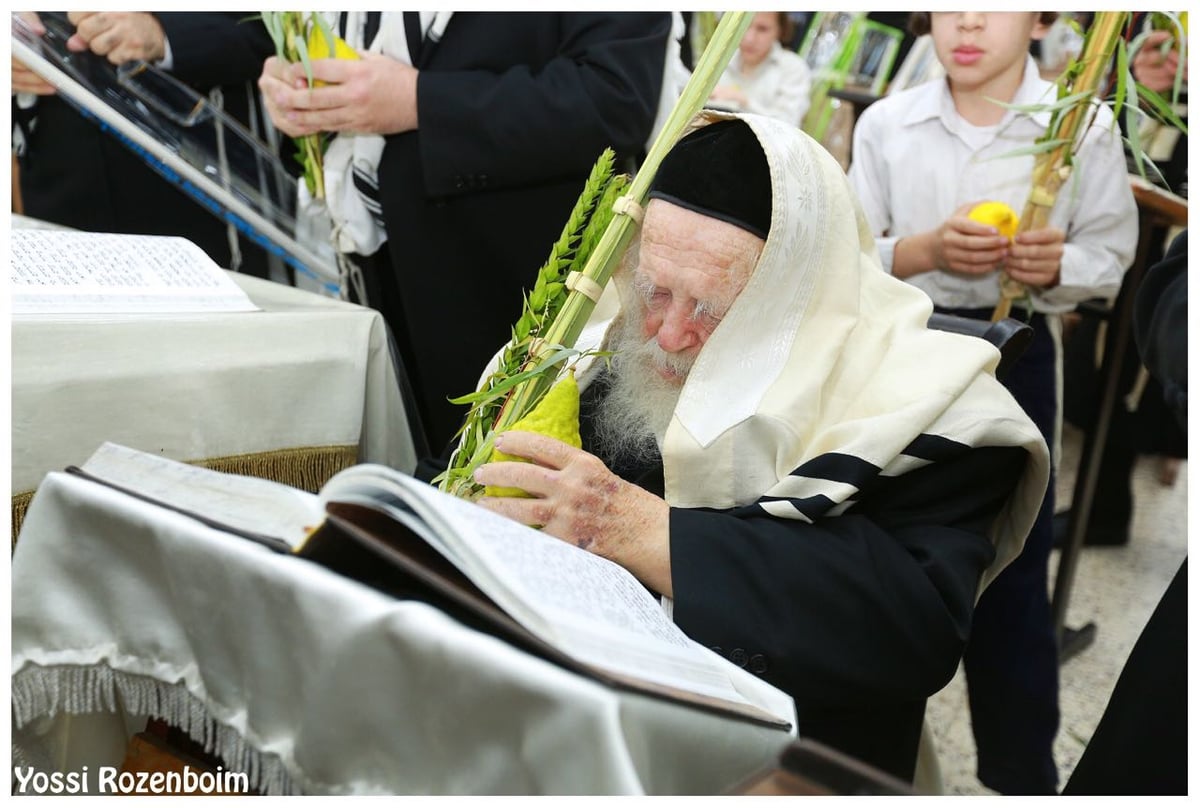 מרן שר התורה הגר"ח קנייבסקי בהלל ובהקפות בהושענות