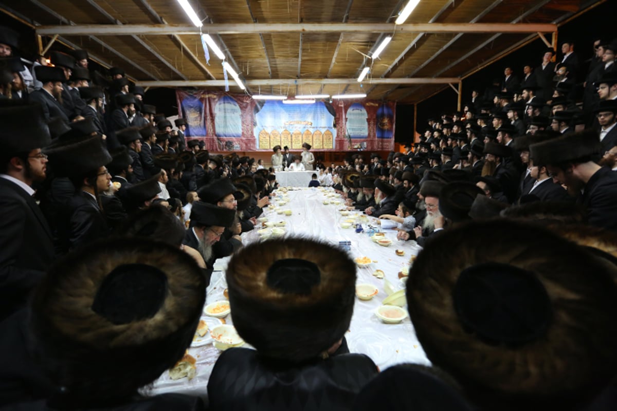 לעלוב: "חסיד? שלא יהיה לך קשר למכשיר טרף"