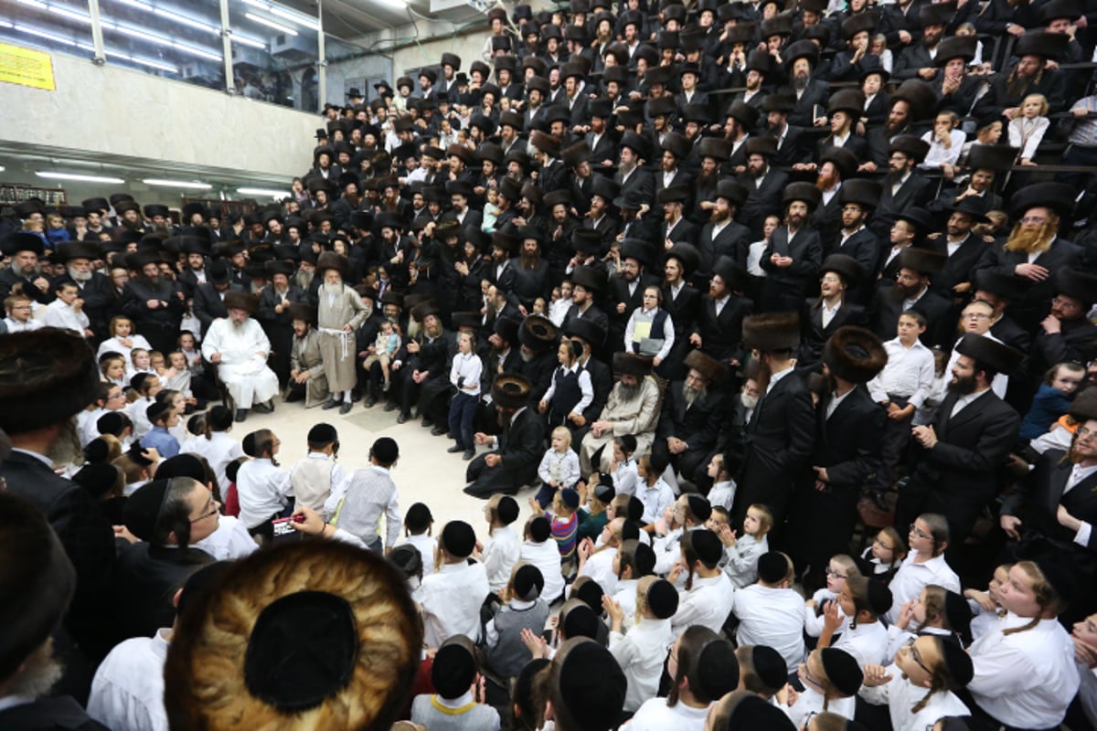 לעלוב: "חסיד? שלא יהיה לך קשר למכשיר טרף"