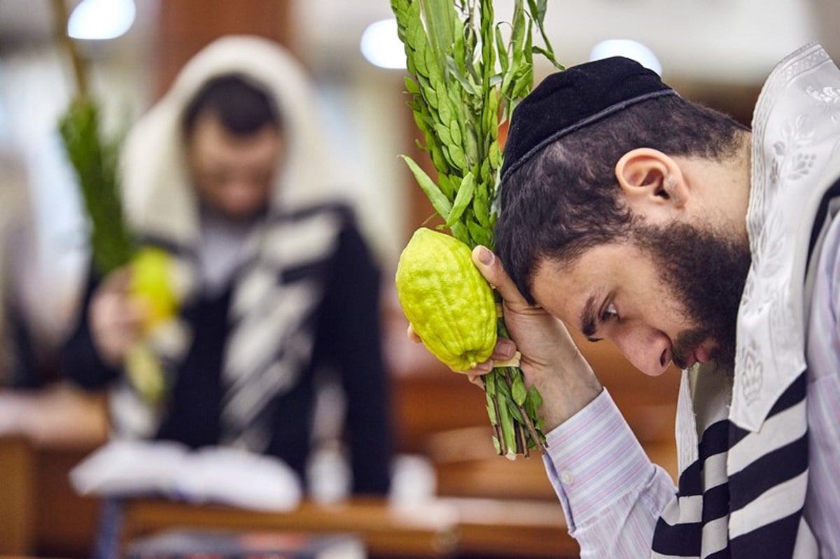 גלריה: הושענא רבה בבית הכנסת המרכזי במוסקבה