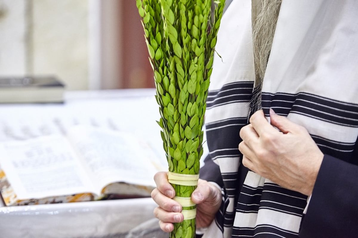 גלריה: הושענא רבה בבית הכנסת המרכזי במוסקבה