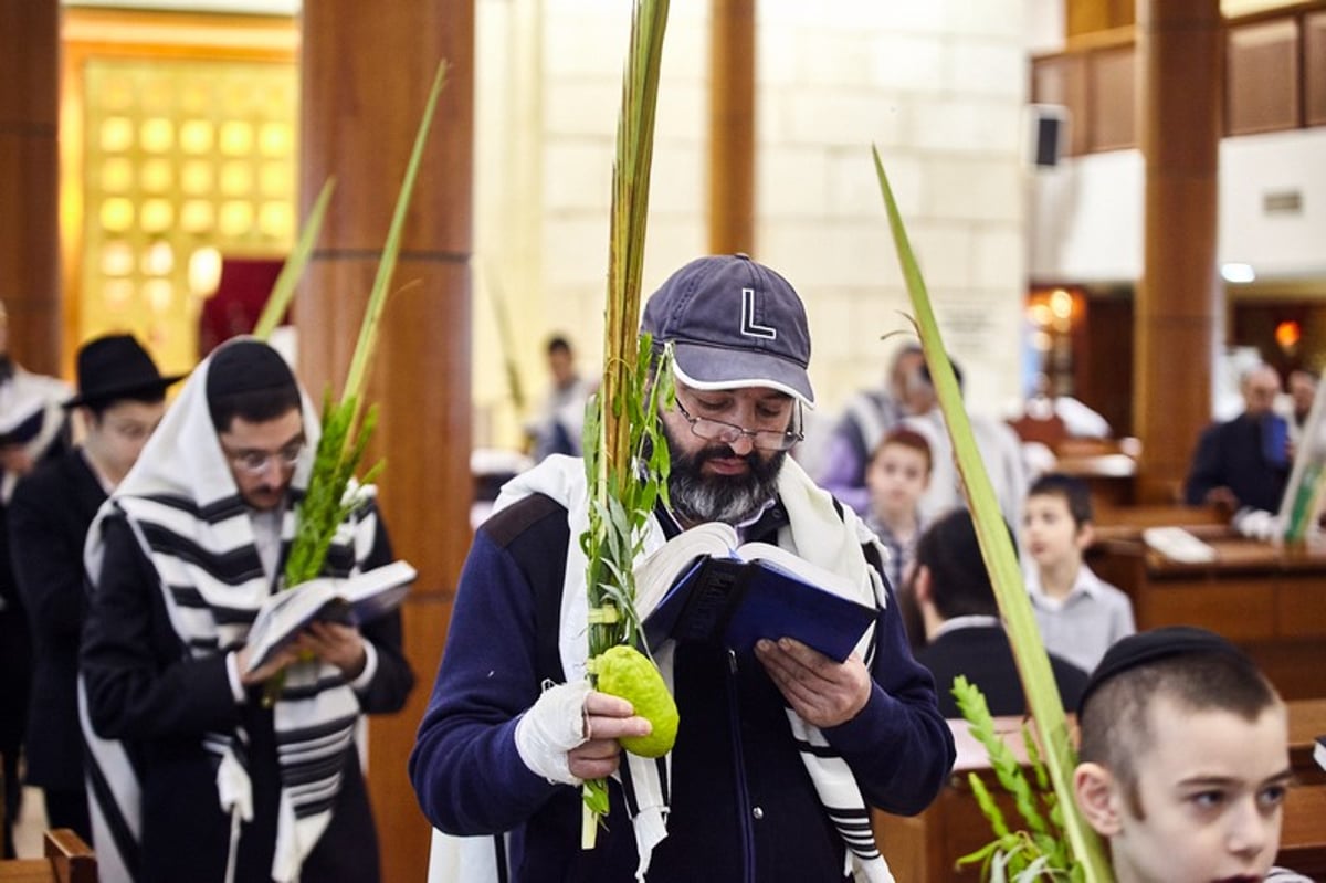 גלריה: הושענא רבה בבית הכנסת המרכזי במוסקבה