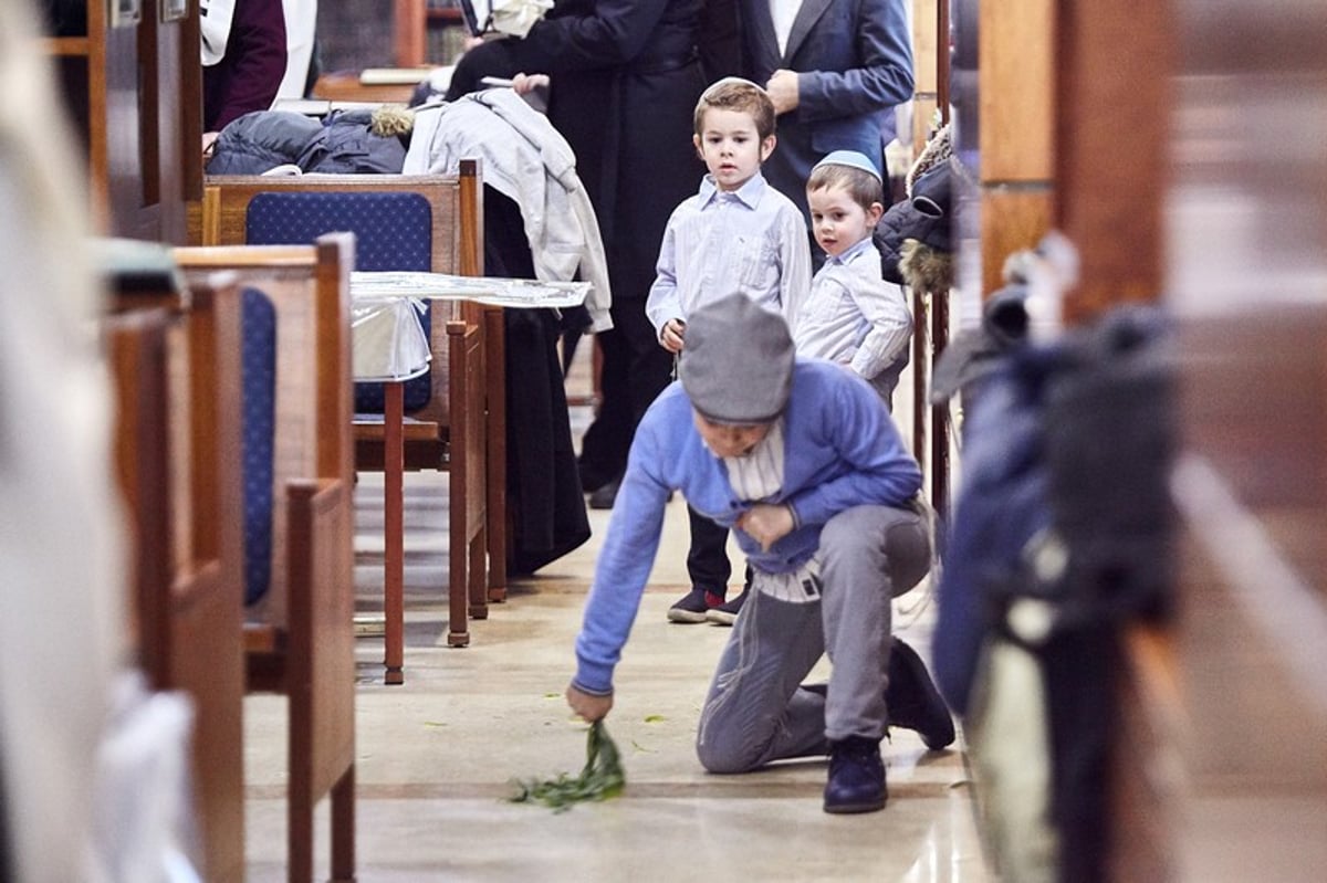 גלריה: הושענא רבה בבית הכנסת המרכזי במוסקבה