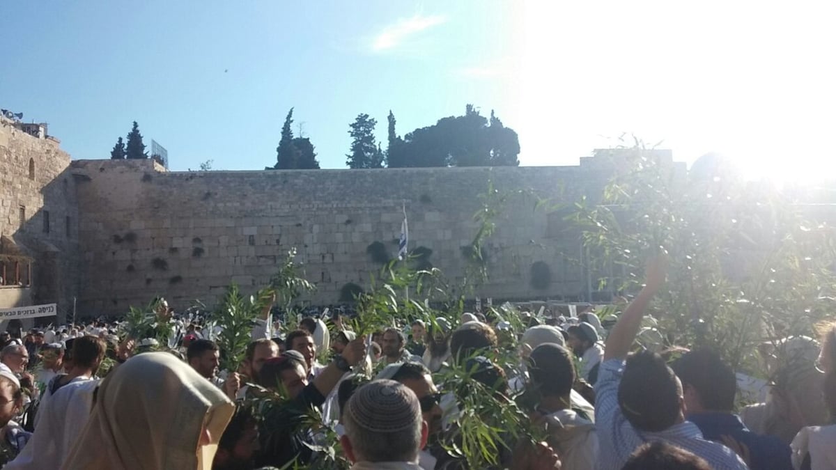 אלפי מתפללים וותיקין בכותל המערבי • צפו