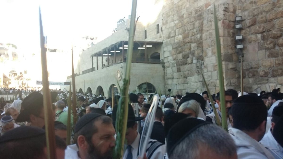 אלפי מתפללים וותיקין בכותל המערבי • צפו