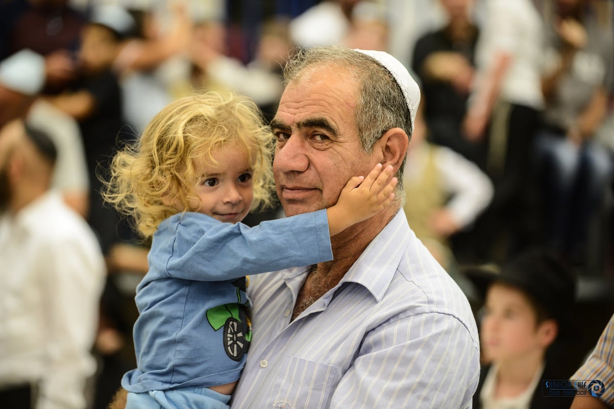 גלריה: הקפות שניות בכפר חב"ד