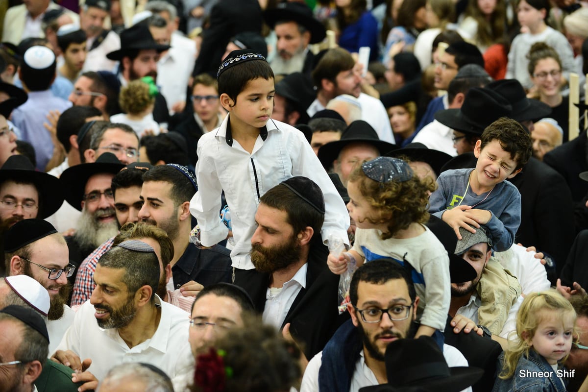 גלריה: הקפות שניות בכפר חב"ד