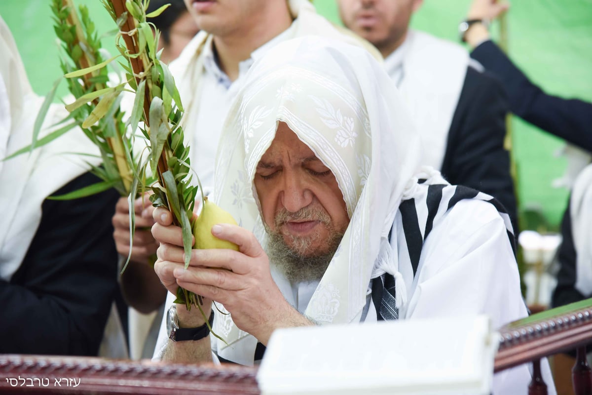 וידאו ותמונות: סוכות אצל הגאון רבי  מאיר מאזוז