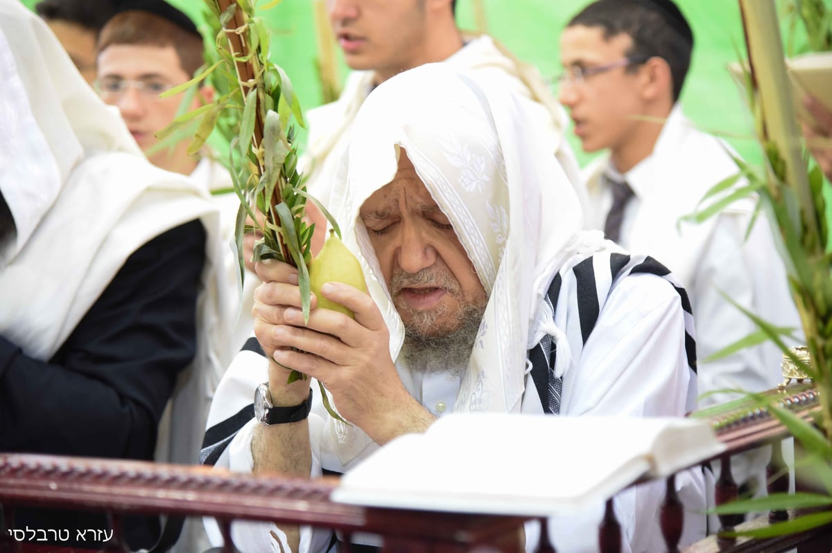 וידאו ותמונות: סוכות אצל הגאון רבי  מאיר מאזוז