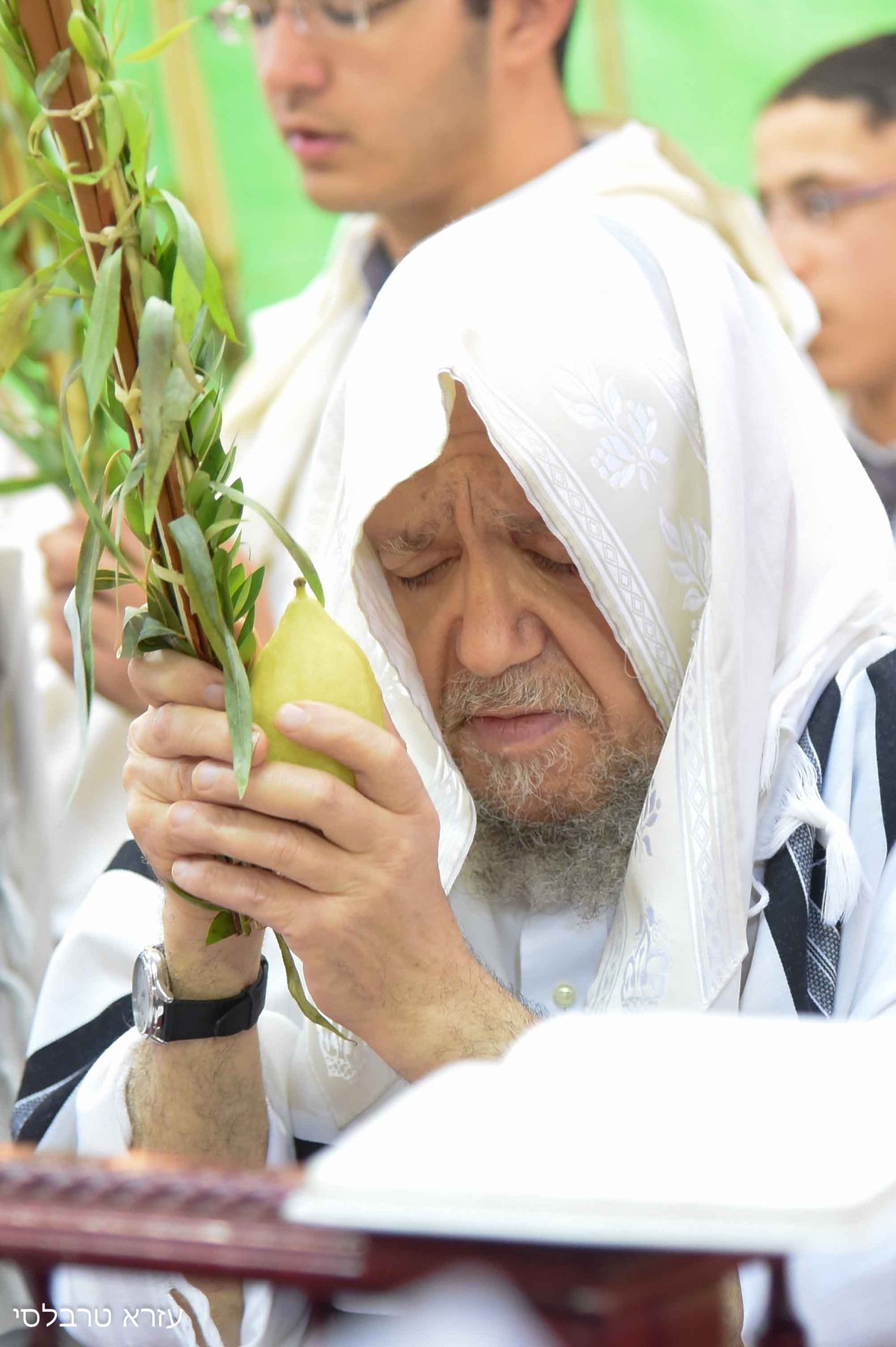 וידאו ותמונות: סוכות אצל הגאון רבי  מאיר מאזוז