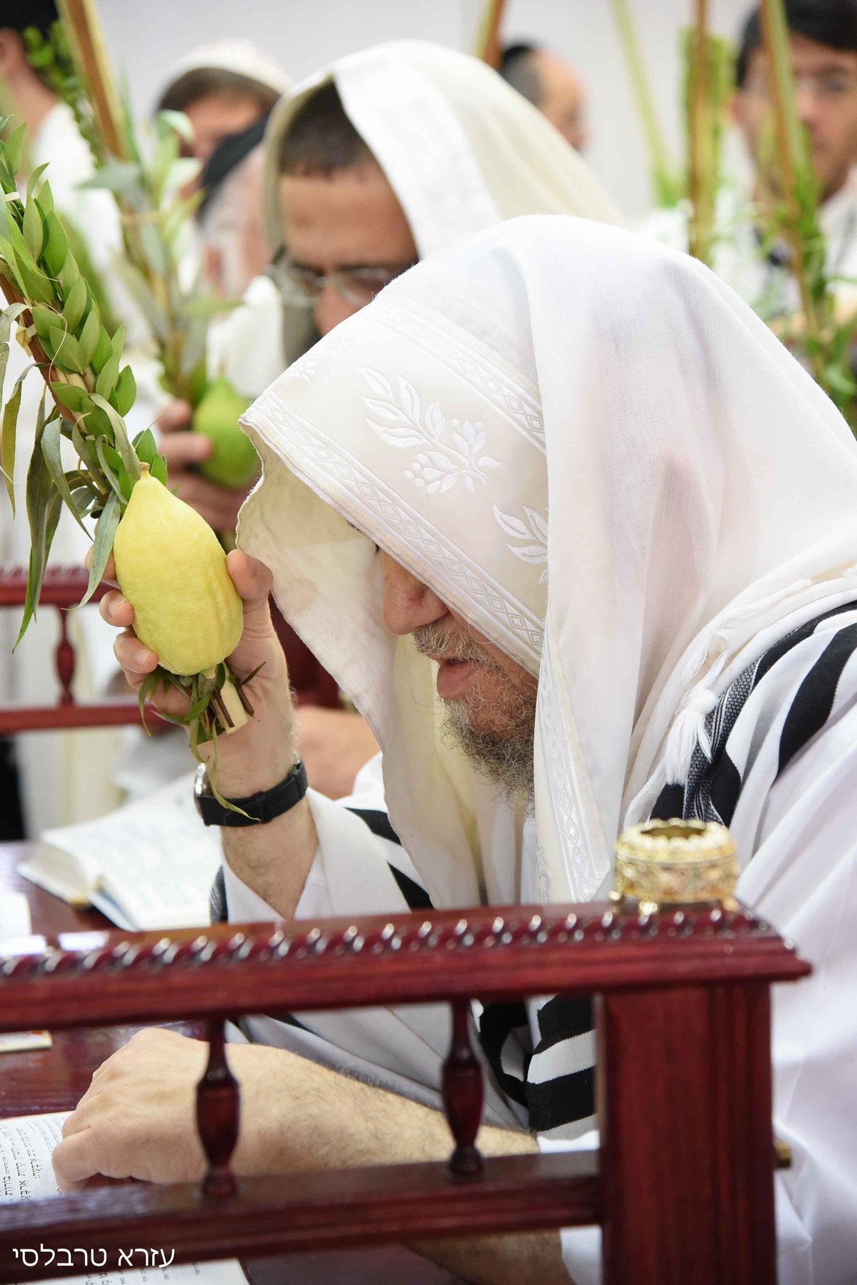 וידאו ותמונות: סוכות אצל הגאון רבי  מאיר מאזוז