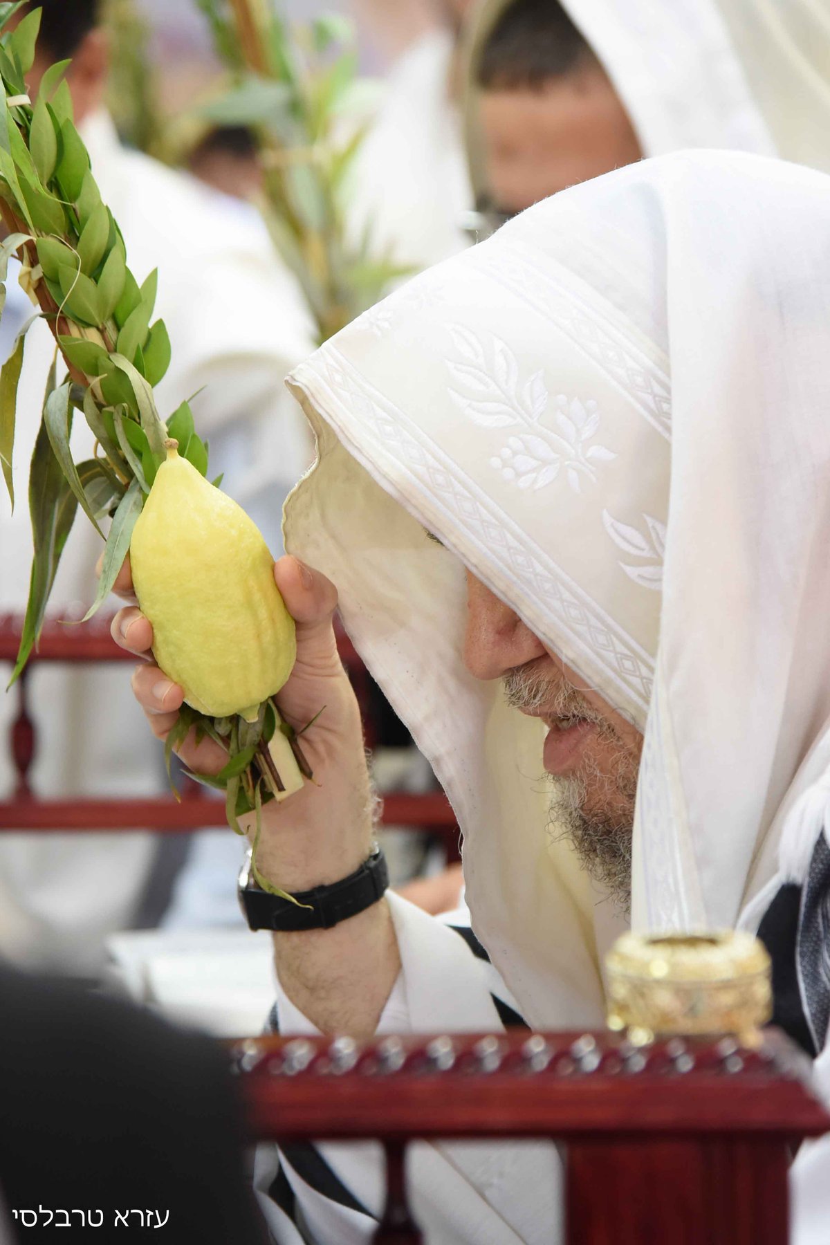 וידאו ותמונות: סוכות אצל הגאון רבי  מאיר מאזוז