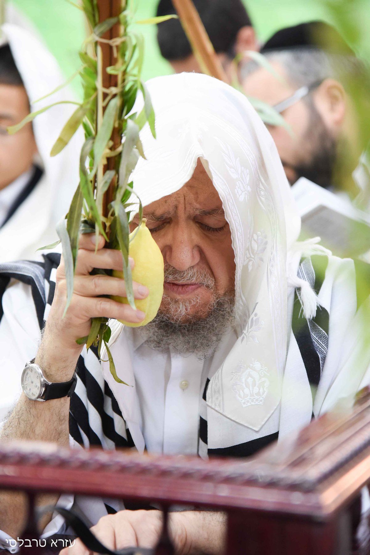 וידאו ותמונות: סוכות אצל הגאון רבי  מאיר מאזוז