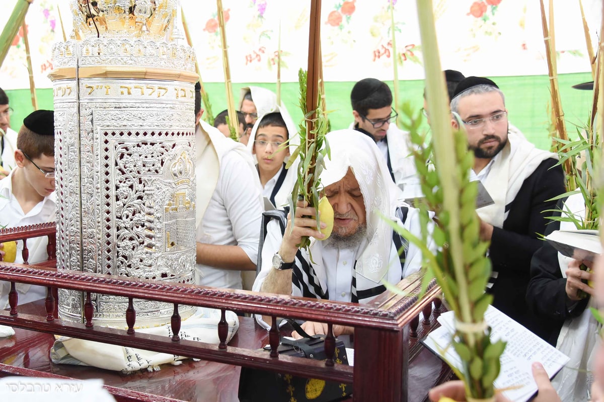 וידאו ותמונות: סוכות אצל הגאון רבי  מאיר מאזוז