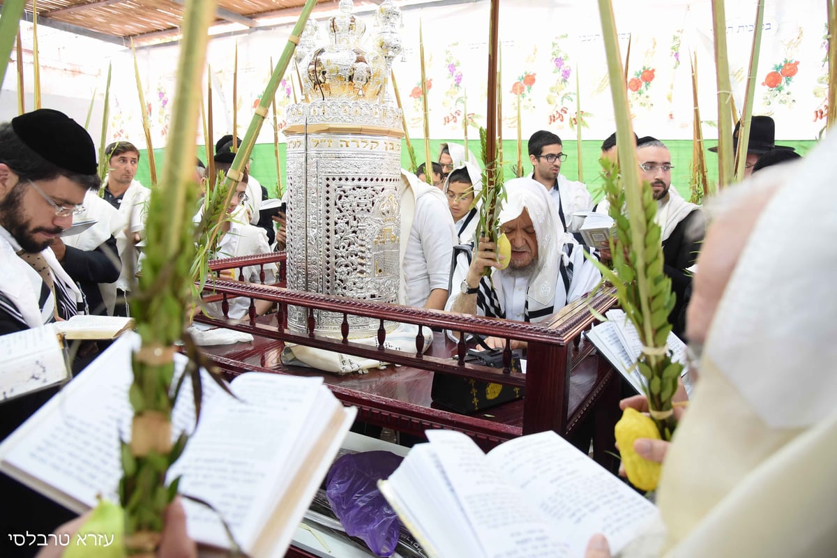 וידאו ותמונות: סוכות אצל הגאון רבי  מאיר מאזוז