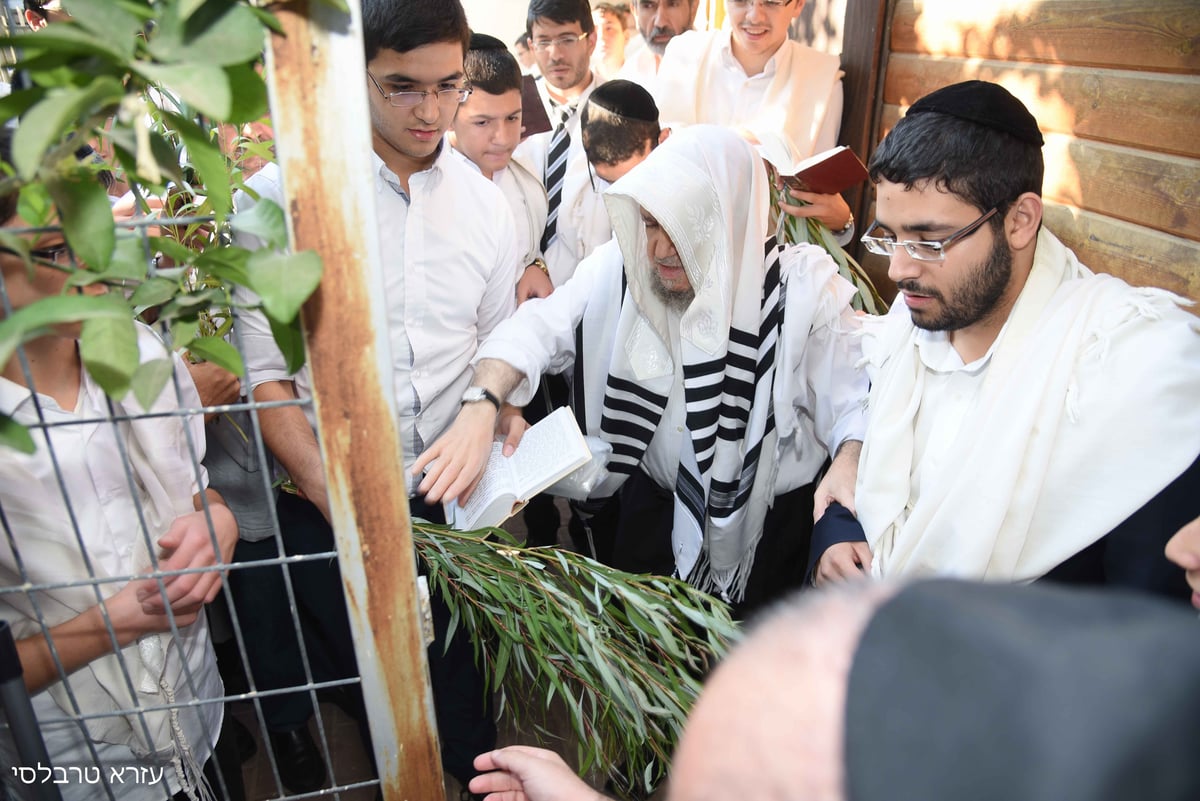 וידאו ותמונות: סוכות אצל הגאון רבי  מאיר מאזוז