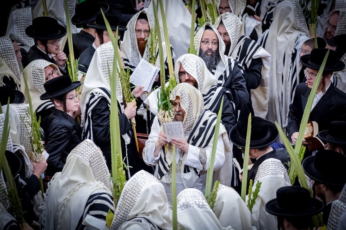 כך חגגו חסידי סאטמר 72 שעות במחיצת האדמו"ר