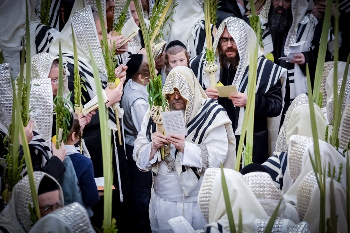 כך חגגו חסידי סאטמר 72 שעות במחיצת האדמו"ר