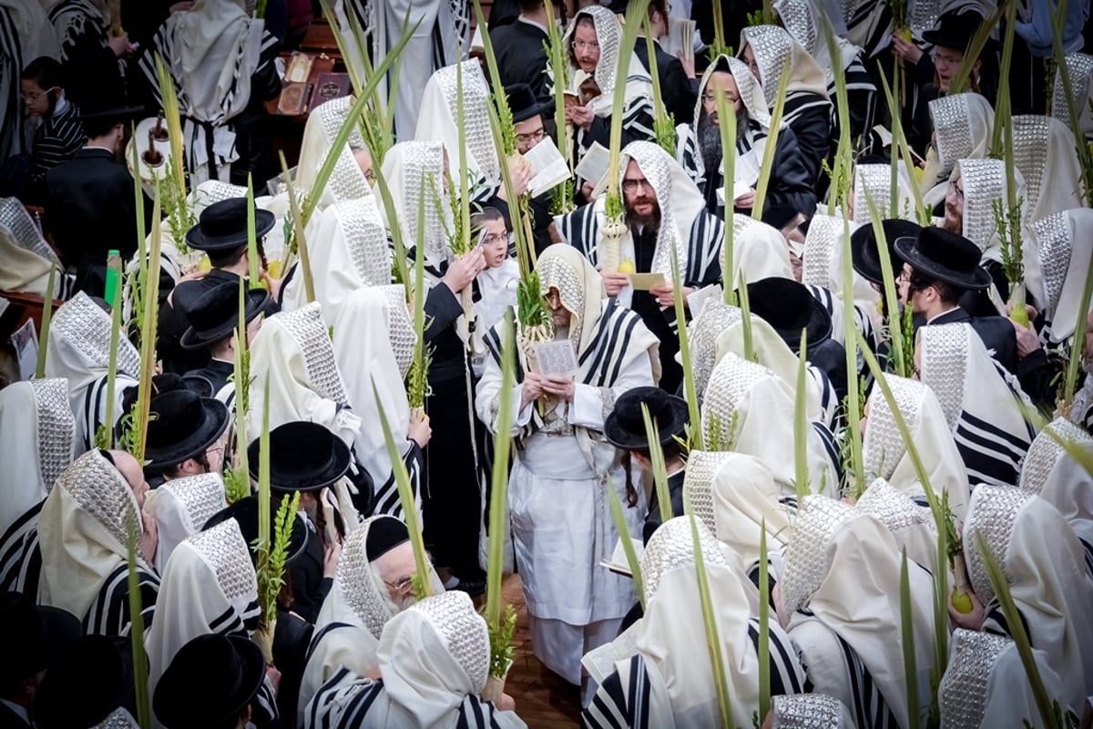 כך חגגו חסידי סאטמר 72 שעות במחיצת האדמו"ר