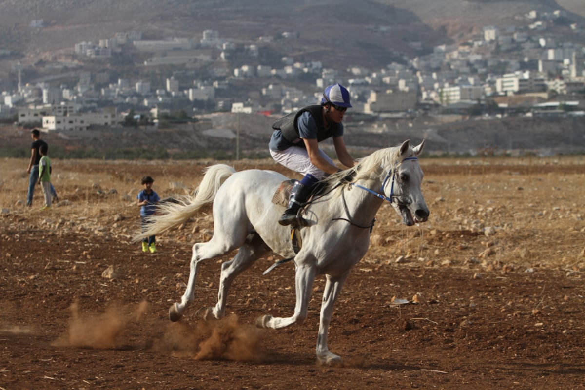 צפו: מירוץ סוסים בכפר הפלסטיני