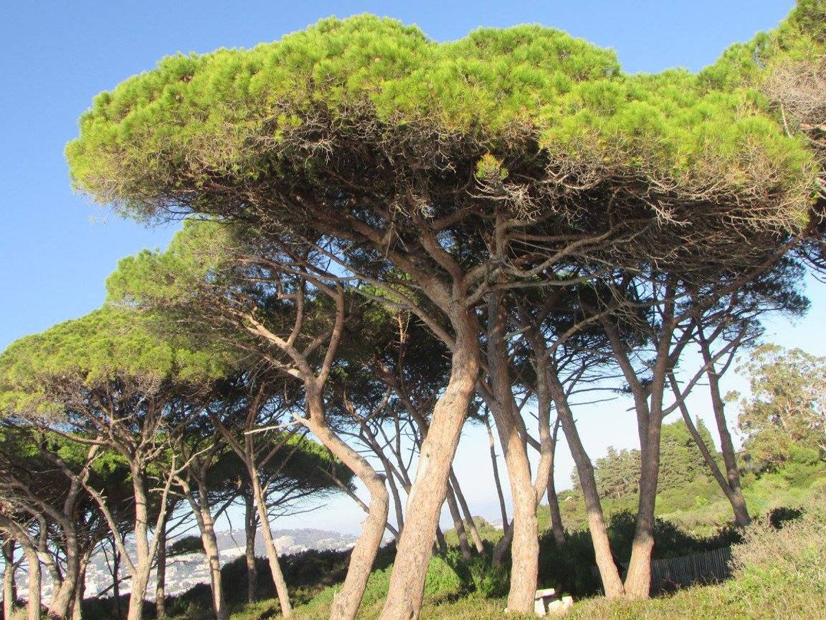 טיול ברביירה הצרפתית בעדשת המצלמה