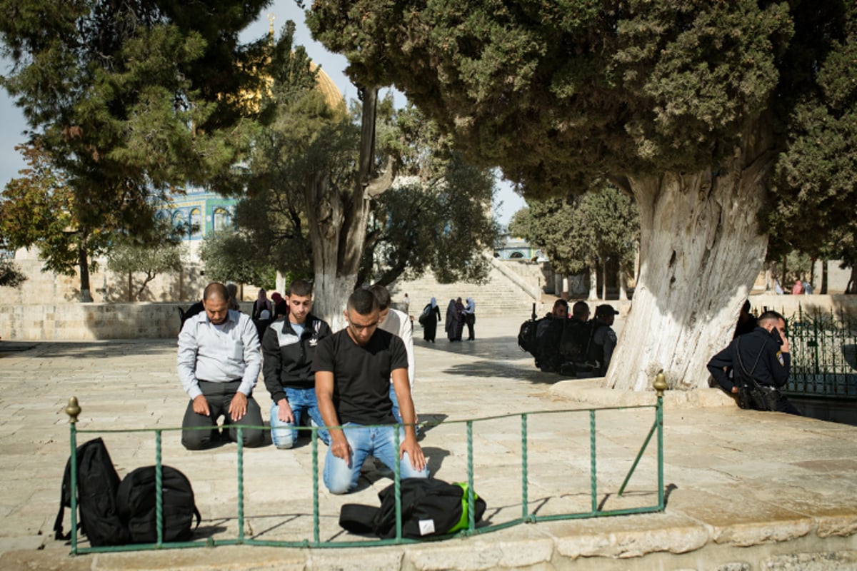 הר המוריה: הר הבית דרך עדשת המצלמה