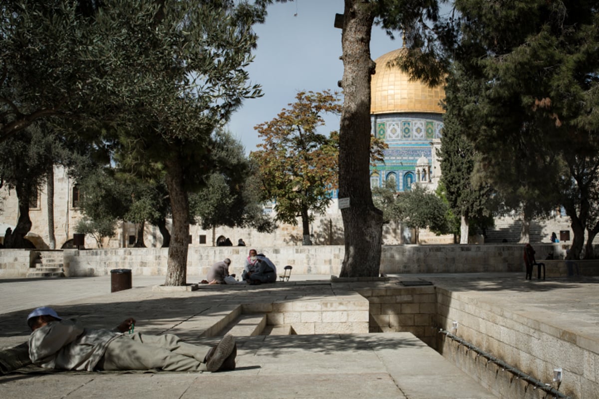 הר המוריה: הר הבית דרך עדשת המצלמה