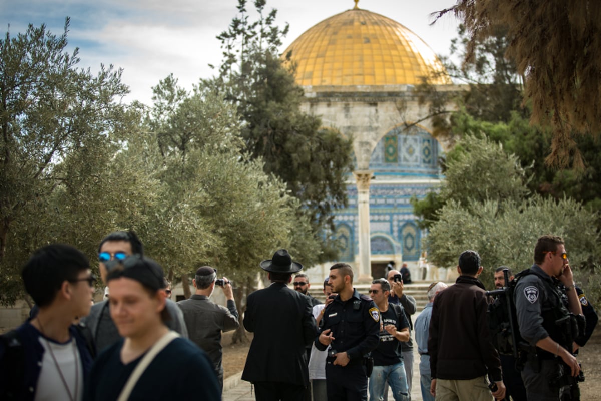 הר המוריה: הר הבית דרך עדשת המצלמה