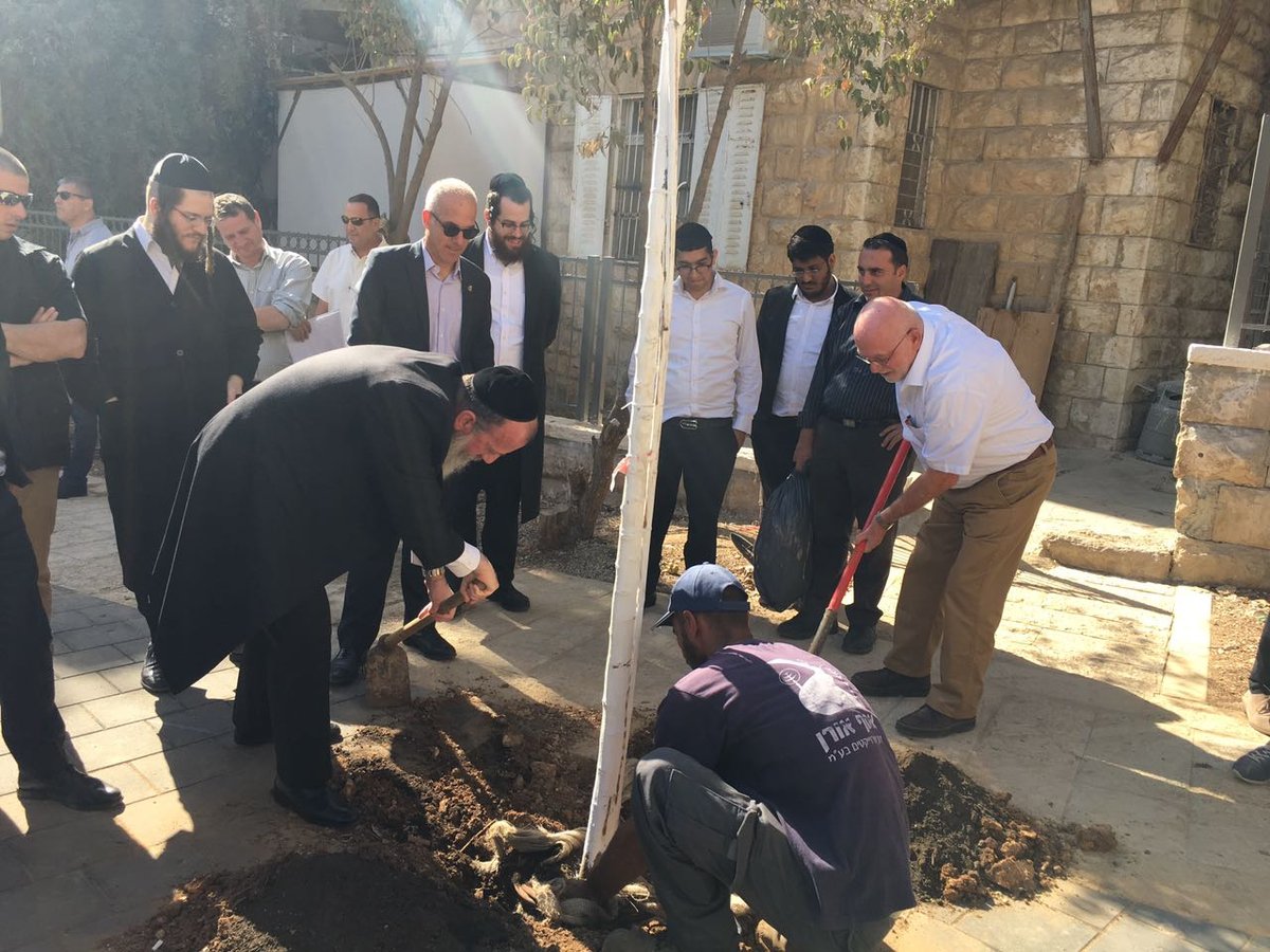 דייטש וברקת חגגו את שיפוץ השכונה בנטיעת עץ | תיעוד