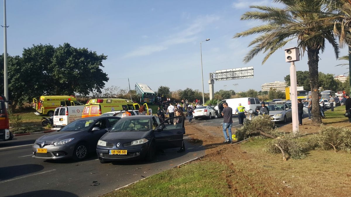 דוברות כב"ה ארצית