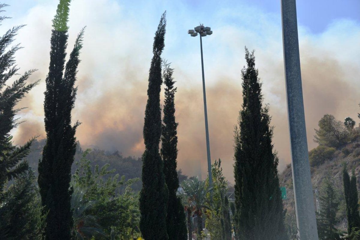 השריפה הגדולה בחיפה • תיעוד ענק