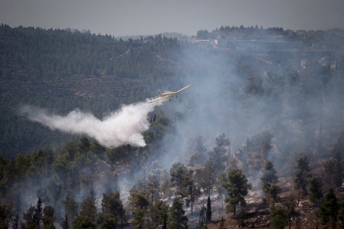 חומות האש, מטוסי הכיבוי והבתים השרופים | גלריה