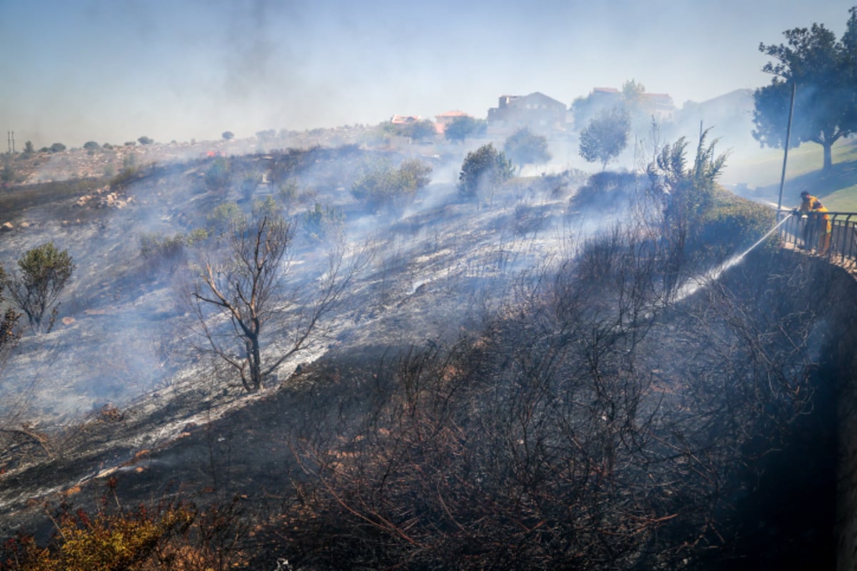 חומות האש, מטוסי הכיבוי והבתים השרופים | גלריה