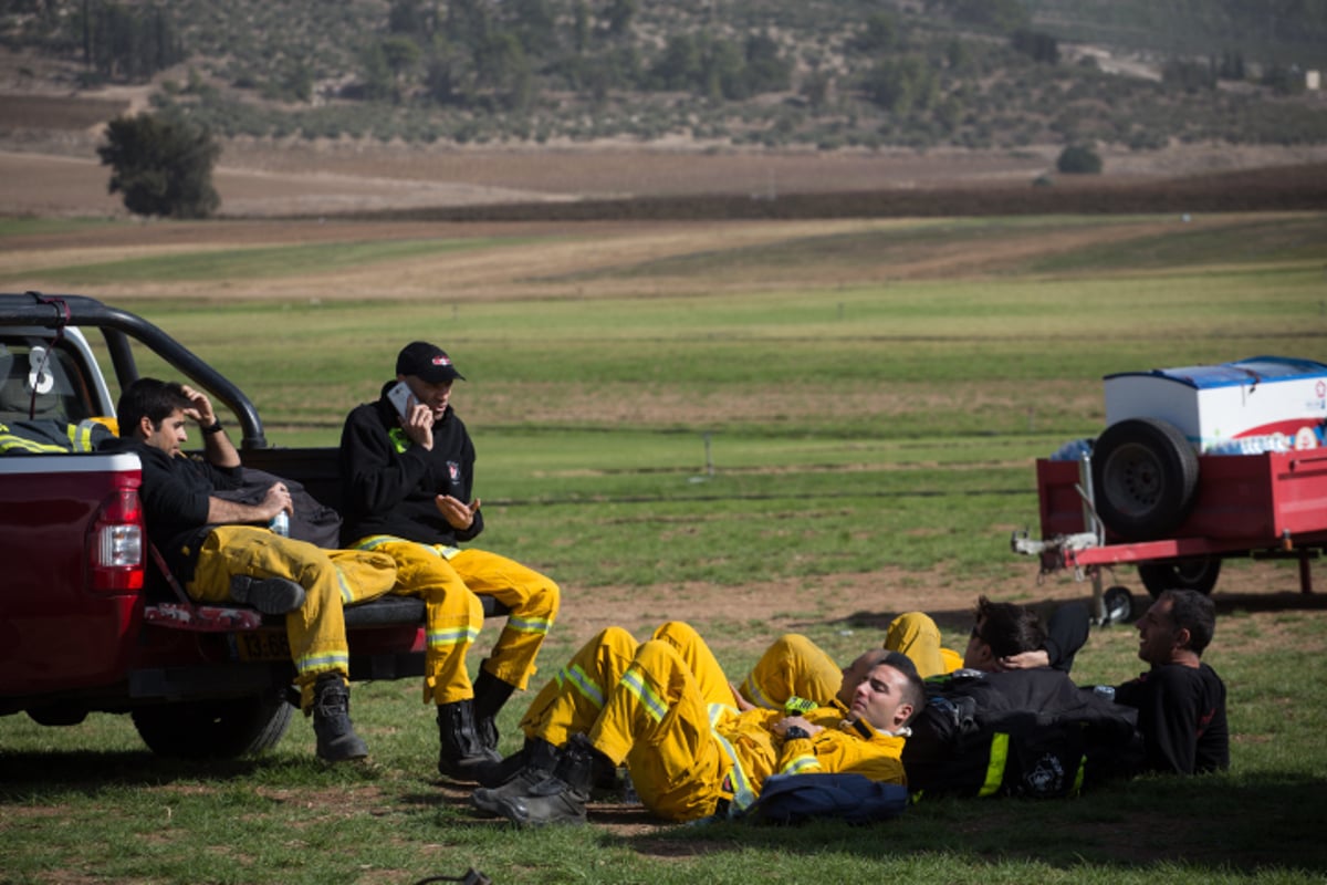 חומות האש, מטוסי הכיבוי והבתים השרופים | גלריה