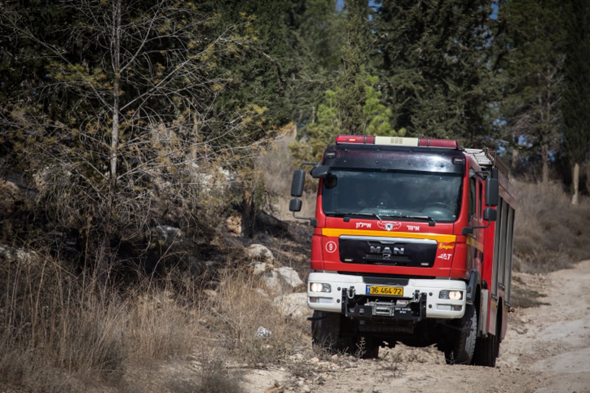 חומות האש, מטוסי הכיבוי והבתים השרופים | גלריה