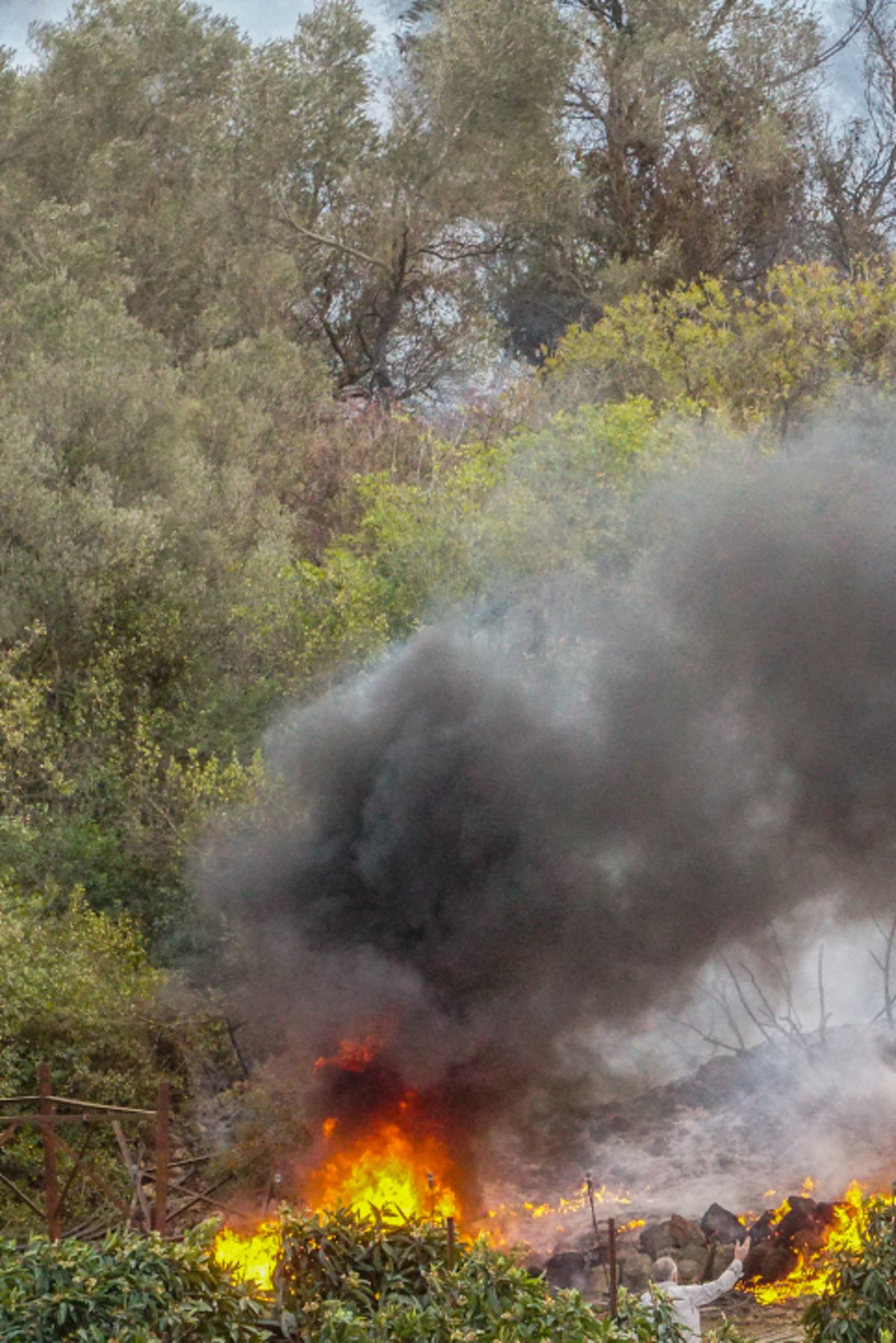 חומות האש, מטוסי הכיבוי והבתים השרופים | גלריה