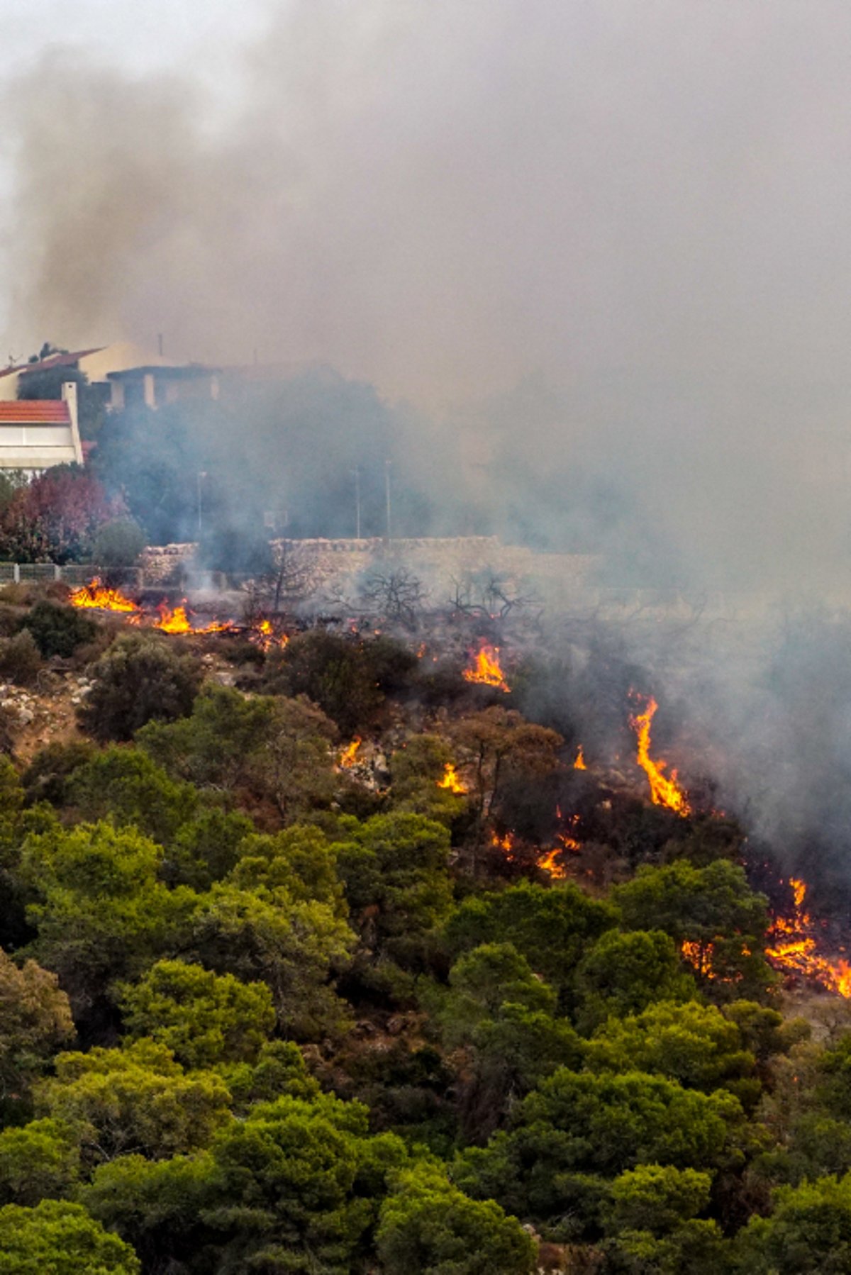 חומות האש, מטוסי הכיבוי והבתים השרופים | גלריה