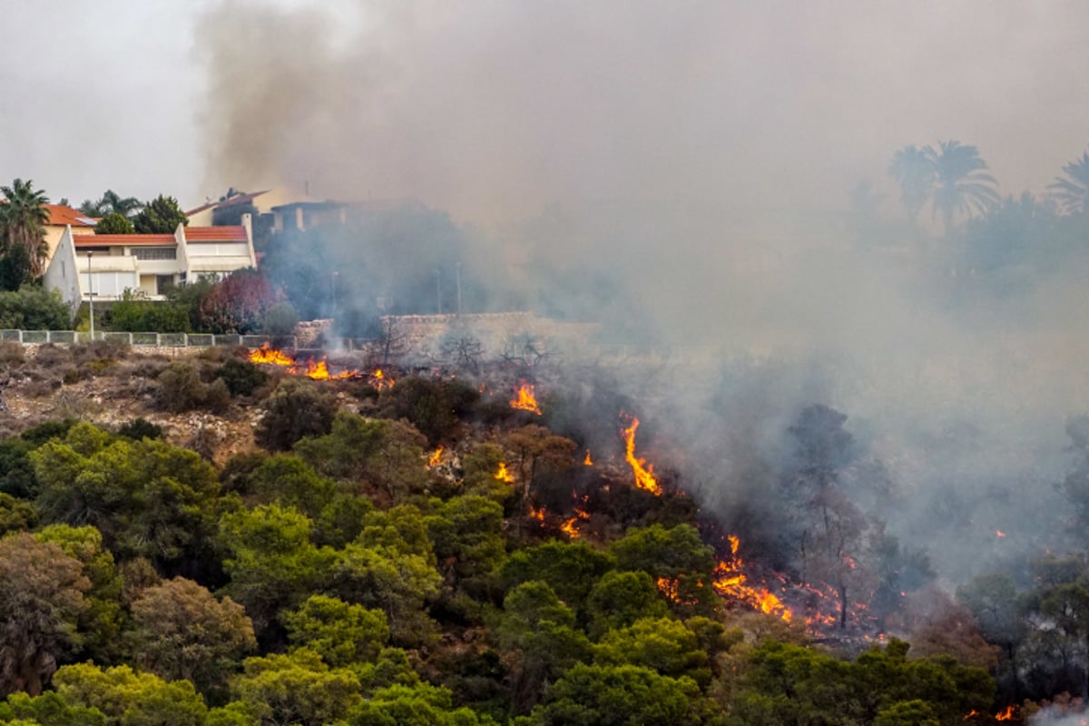 חומות האש, מטוסי הכיבוי והבתים השרופים | גלריה