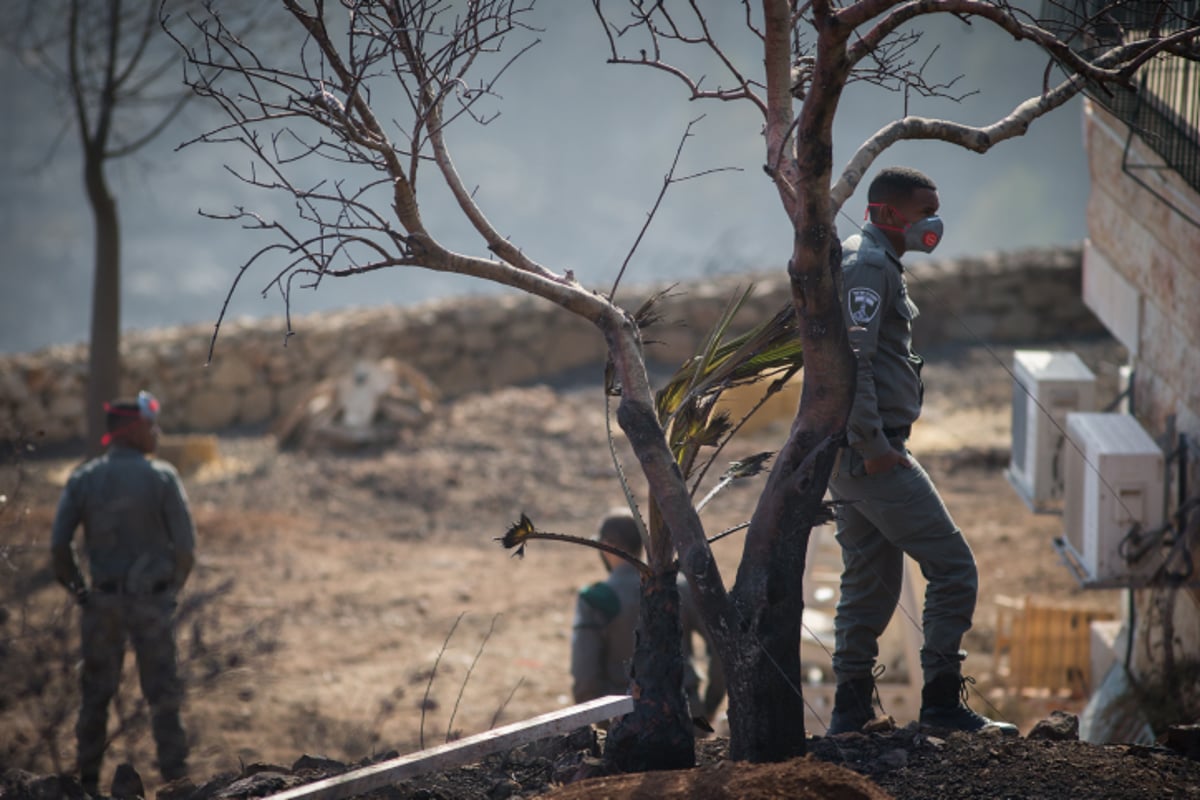 חומות האש, מטוסי הכיבוי והבתים השרופים | גלריה