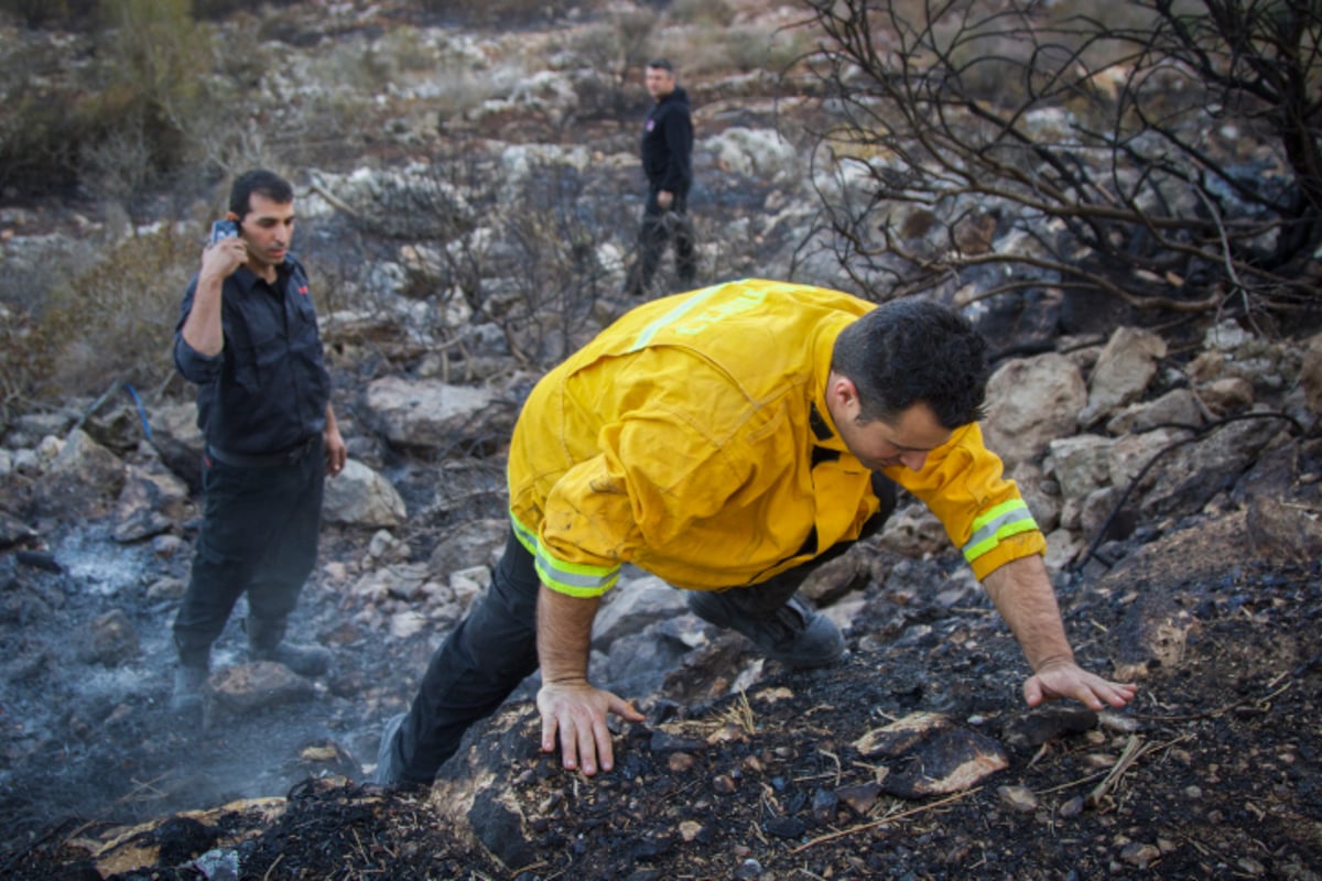 חומות האש, מטוסי הכיבוי והבתים השרופים | גלריה