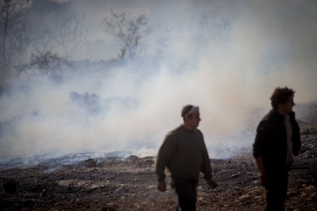 חומות האש, מטוסי הכיבוי והבתים השרופים | גלריה